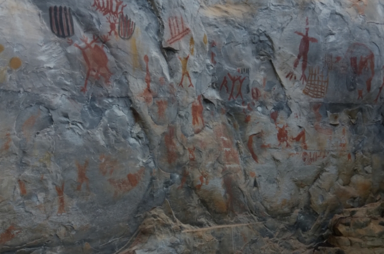 O Instituto Ekos Brasil é uma instituição de referência em soluções socioambientais