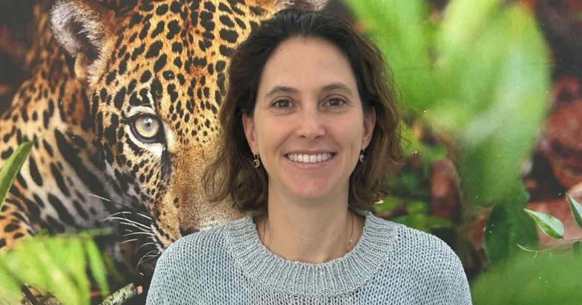 Call to action: por que a sustentabilidade será o diferencial competitivo em 2026?